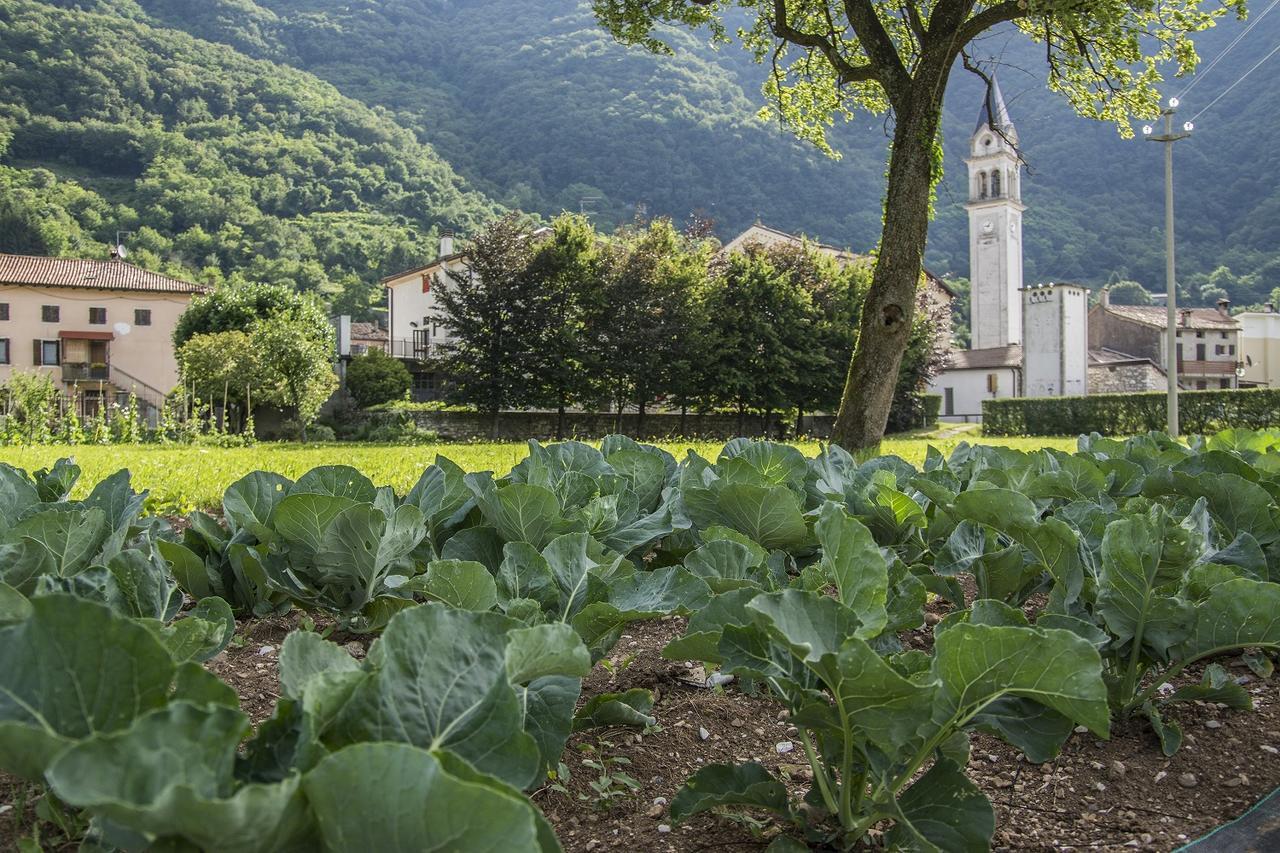 Locanda Solagna Quero Zewnętrze zdjęcie