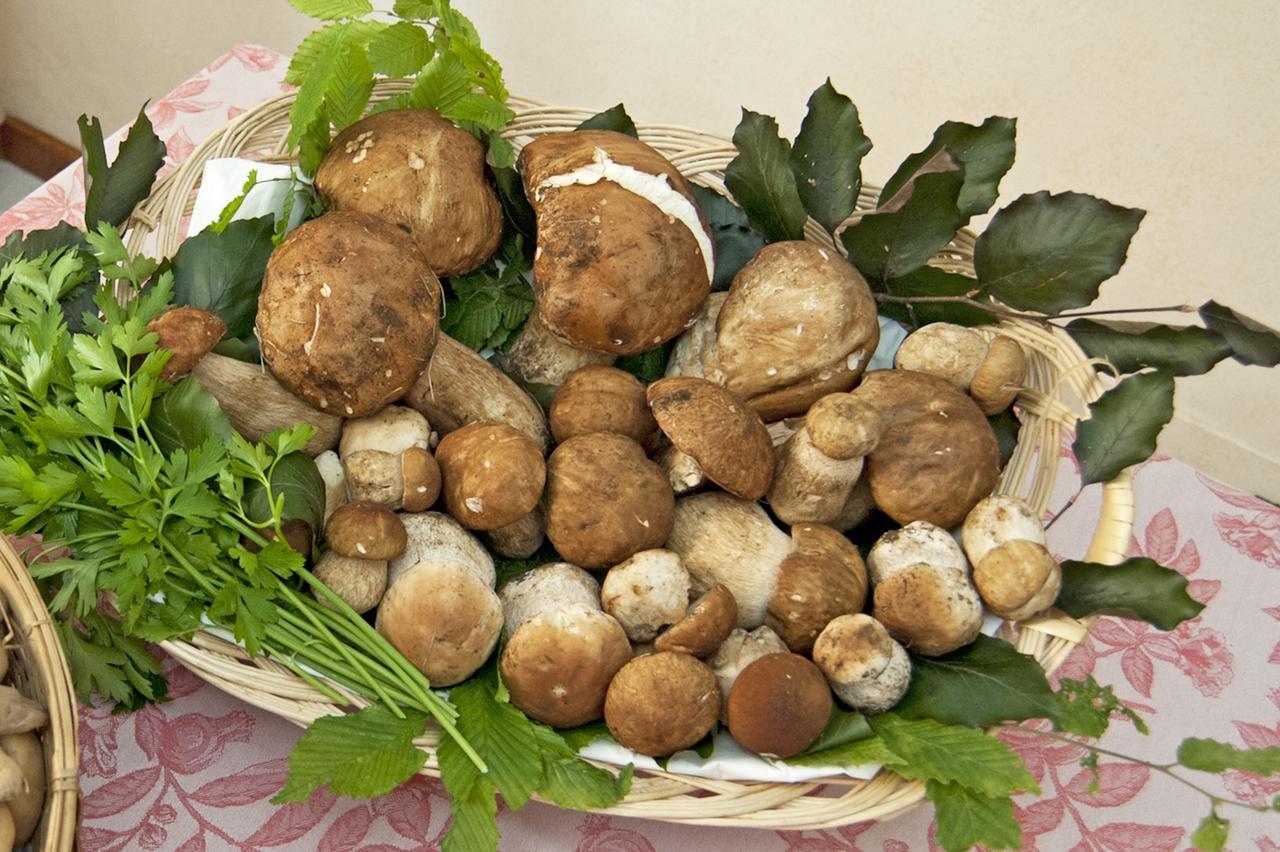 Locanda Solagna Quero Zewnętrze zdjęcie