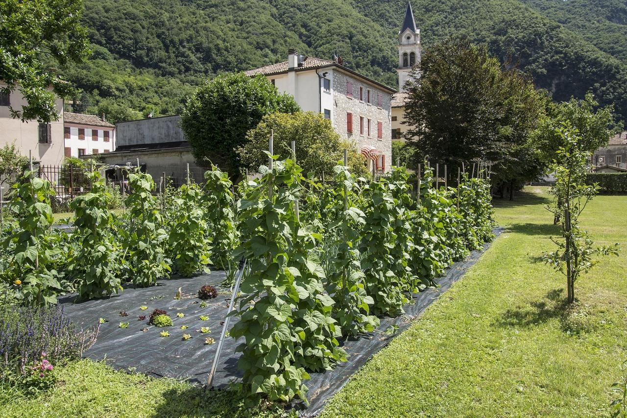 Locanda Solagna Quero Zewnętrze zdjęcie