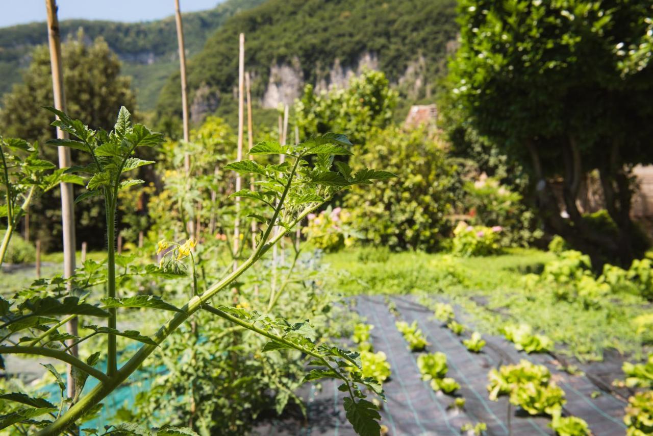 Locanda Solagna Quero Zewnętrze zdjęcie
